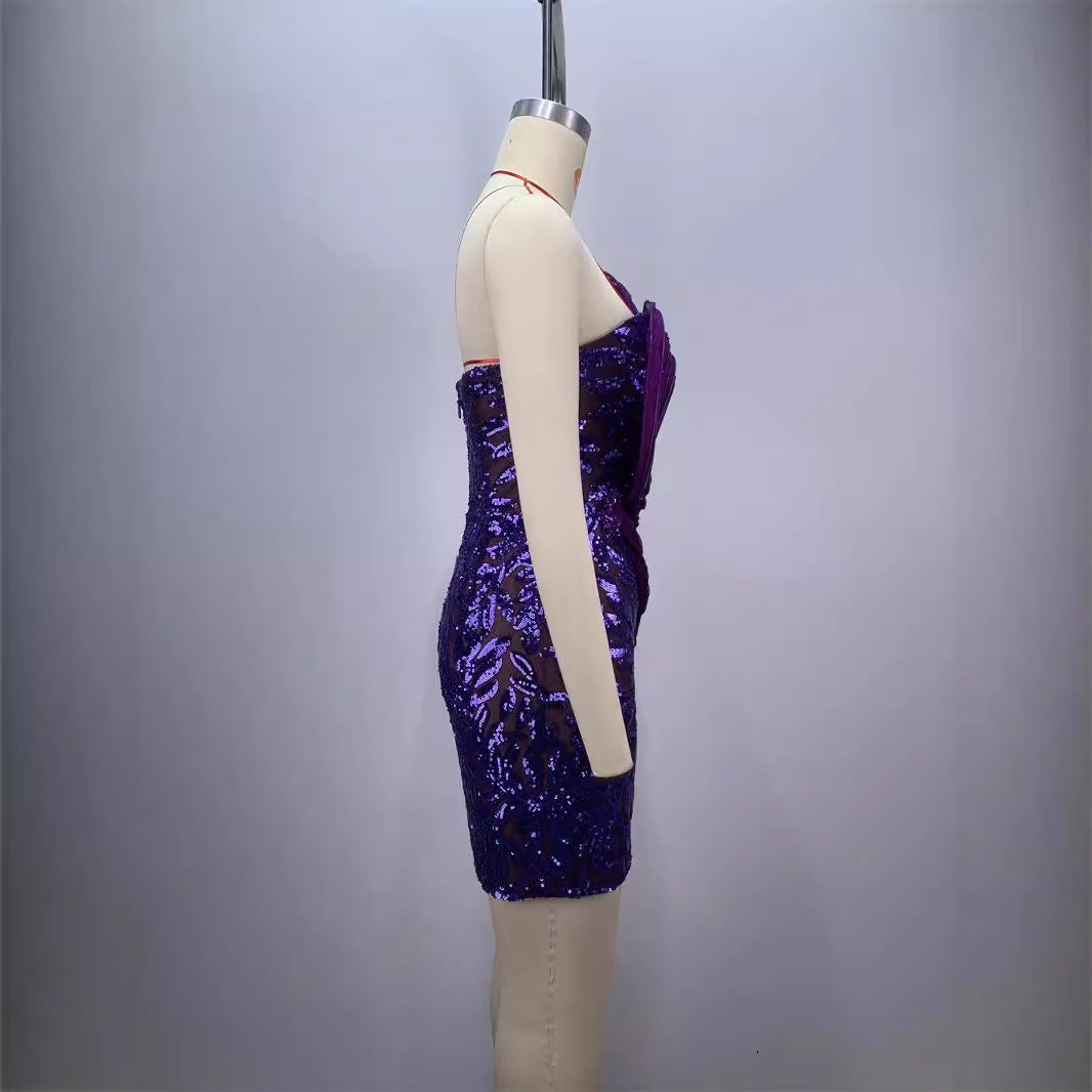 Sequin purple mini Party dress
