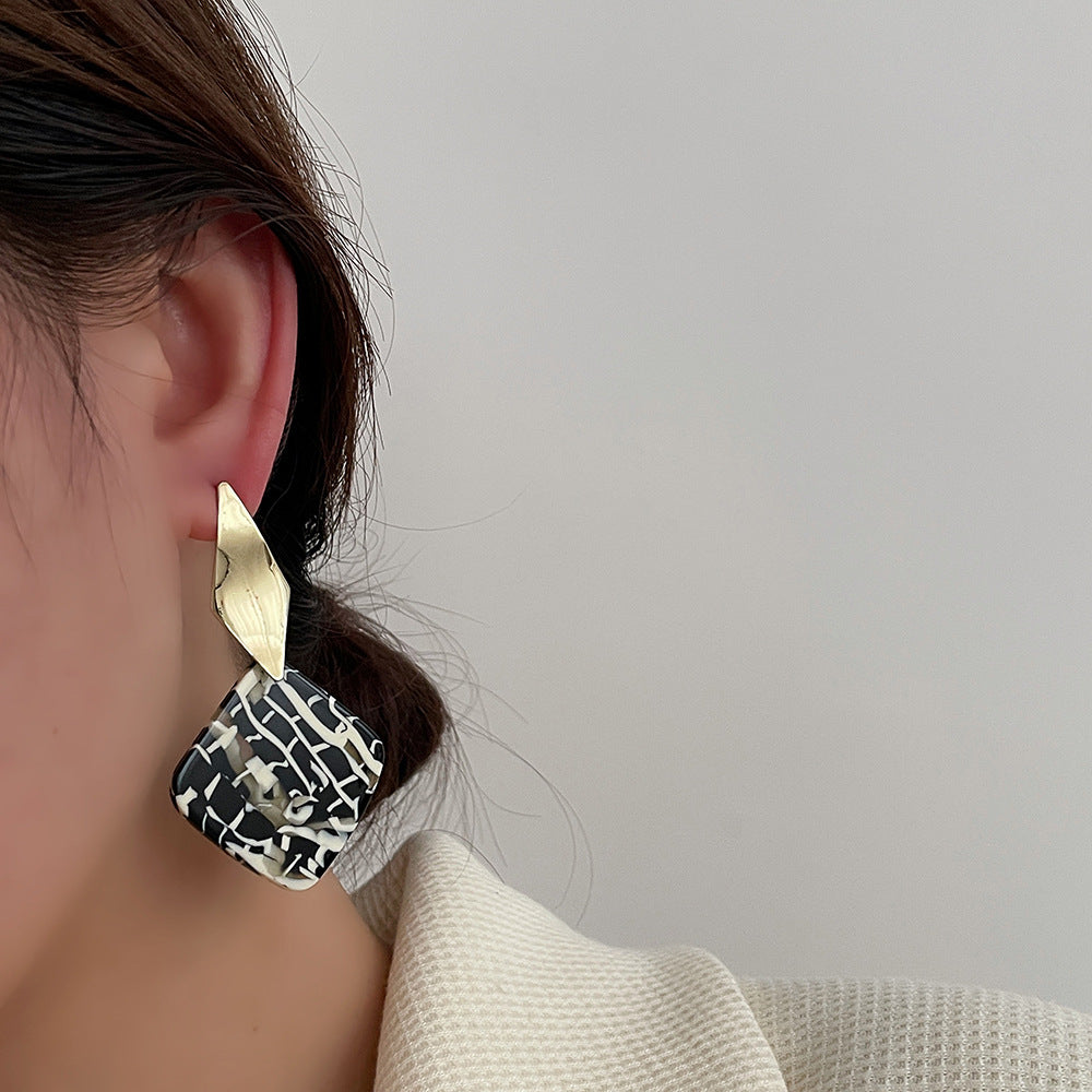 Korean Design Sense Geometric Resin Earrings Female S925 Silver Needle Personality Temperament Metal Earrings Jewelry