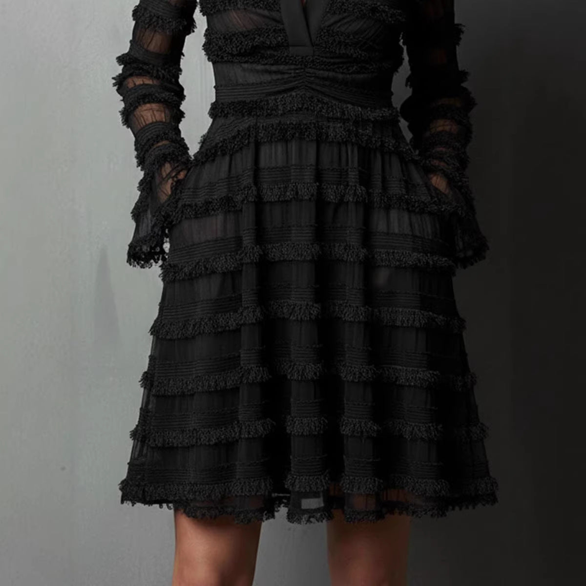Black Sheer Fitted Dress