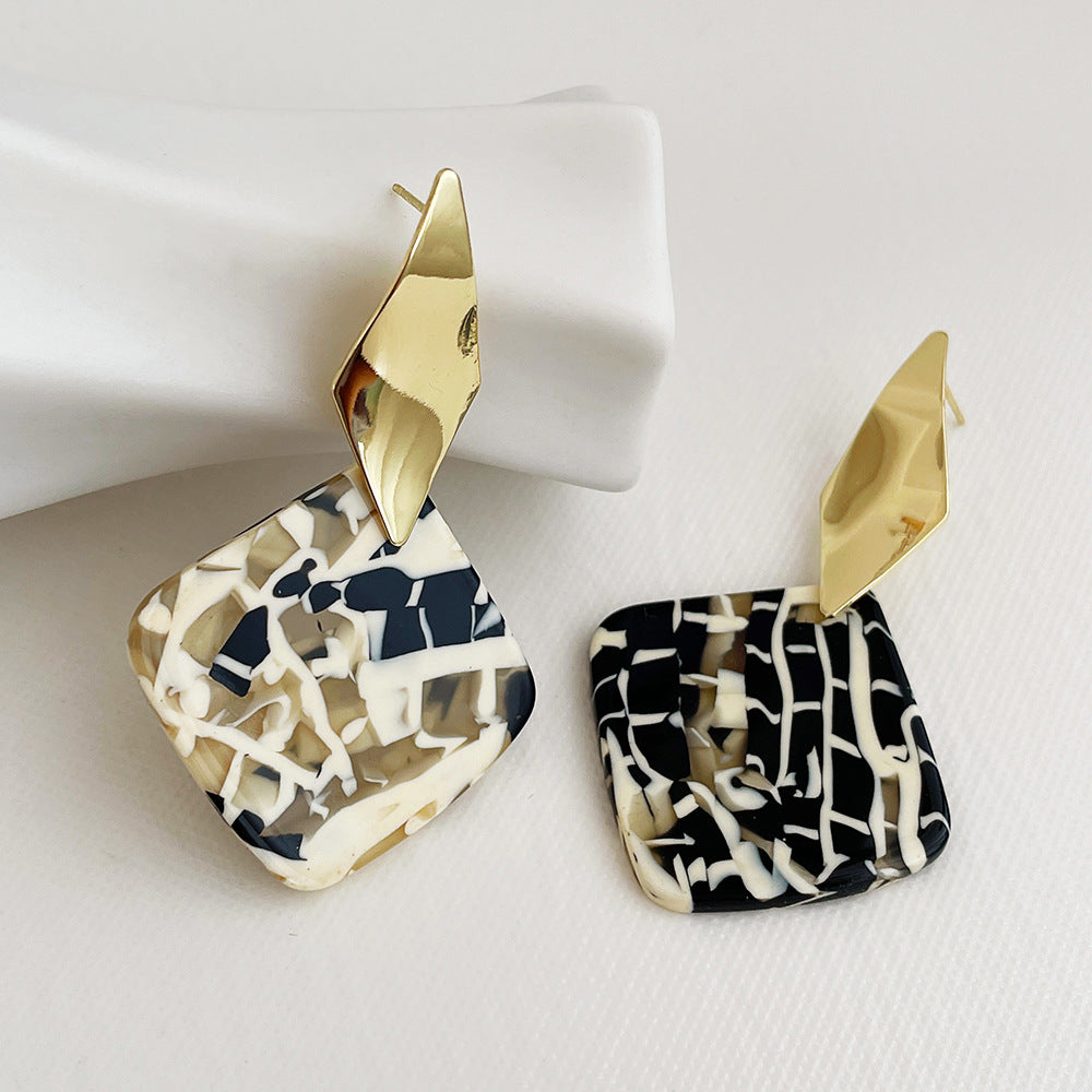 Korean Design Sense Geometric Resin Earrings Female S925 Silver Needle Personality Temperament Metal Earrings Jewelry
