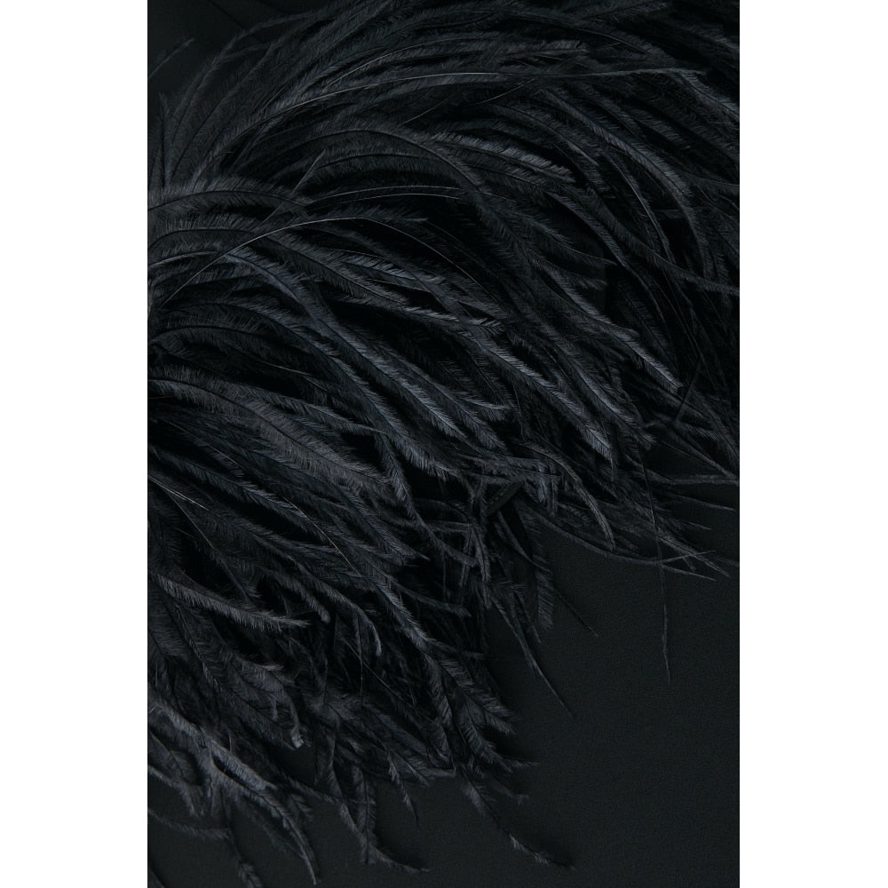 Ostrich Feather Elegant Party Dress