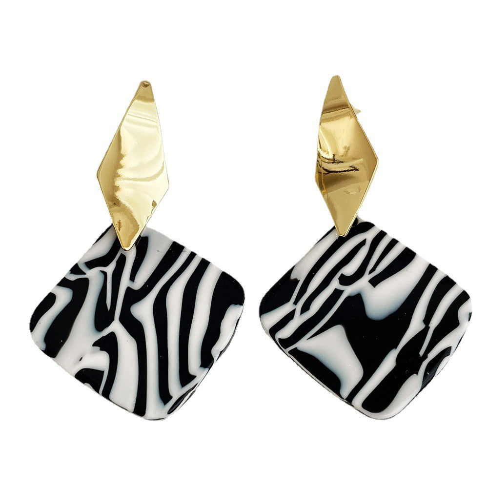 Korean Design Sense Geometric Resin Earrings Female S925 Silver Needle Personality Temperament Metal Earrings Jewelry